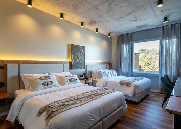 Jangal Das Araucarias Swan Design Hotel Canela
